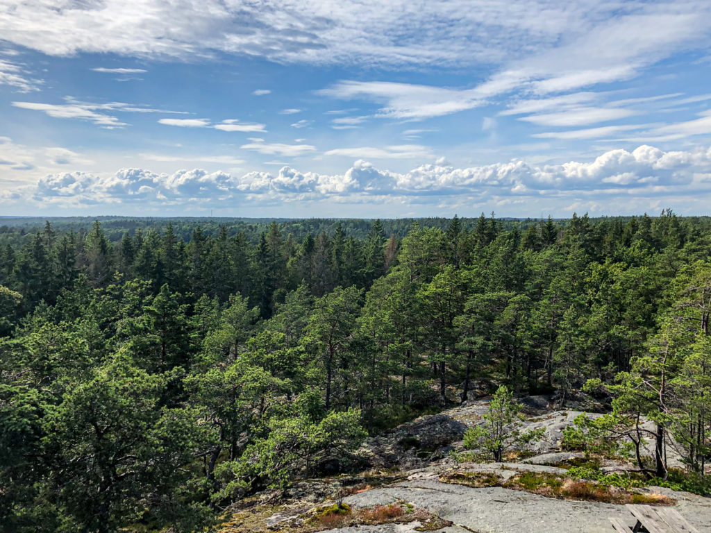 View from the lookout tower at Björnö, looking over the forest