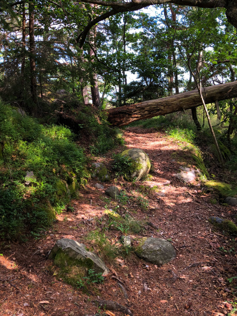 Hard trail