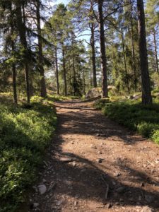 More difficult trail at björnö