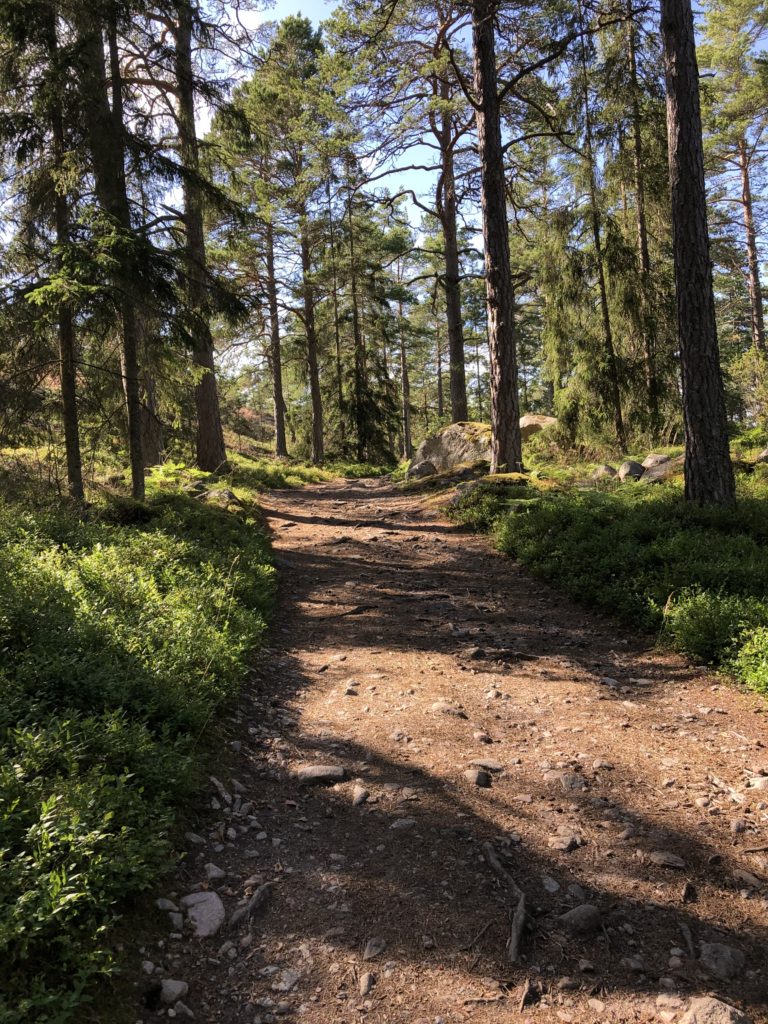 Medium Trail