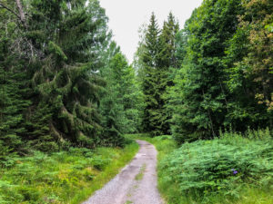 Easy trail at björnö