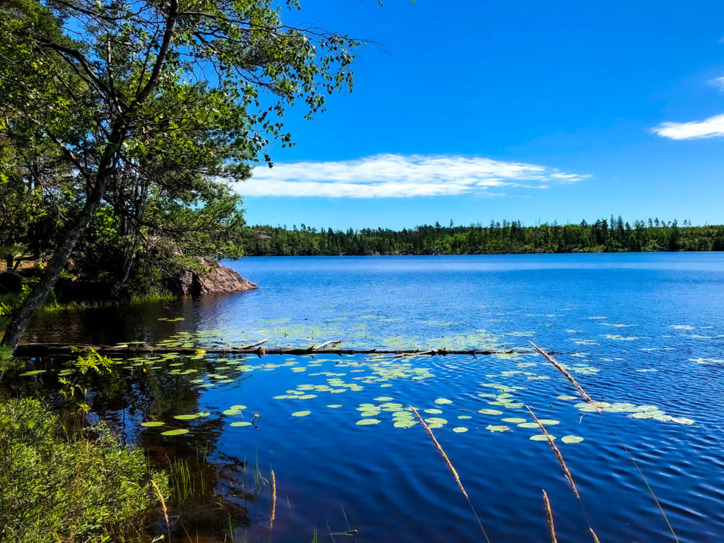 View over one of the lakes at Tyresta. 